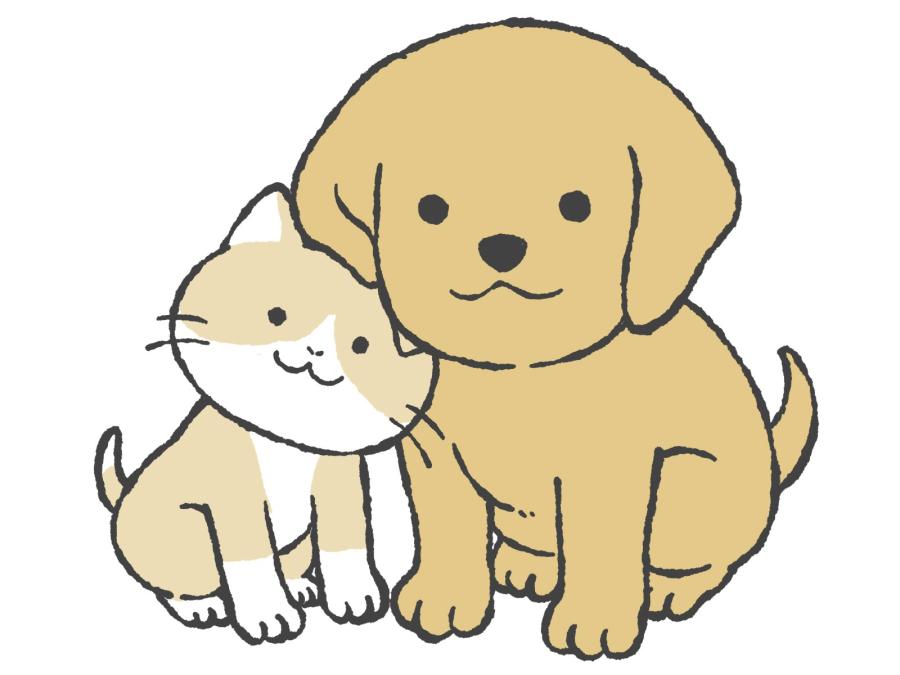 寿命が延びているのは人間だけではない