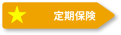 定期保険